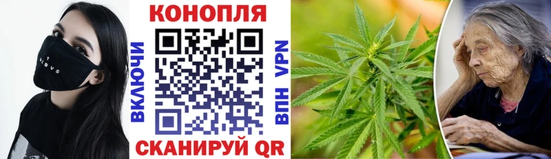 МЕФ Энгельс
