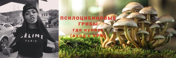 стафф Абаза