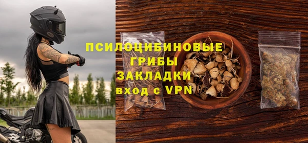 тгк Алексин