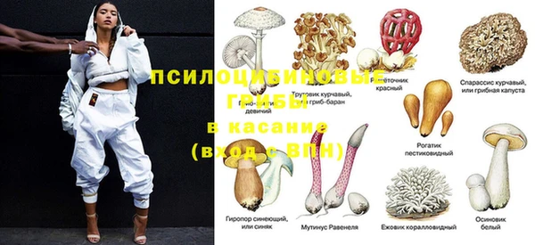 стафф Абдулино