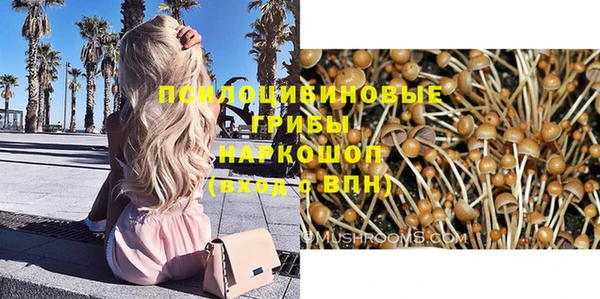 стафф Абдулино